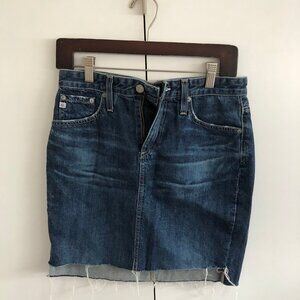 AG Vintage mini pencil skirt